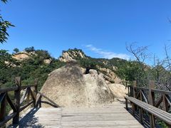 -大岭沟猕猴桃谷风景区