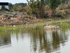 -同里国家湿地公园