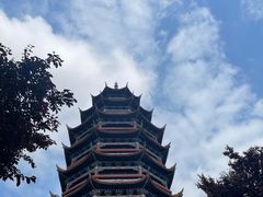 -铁山坪森林公园