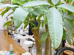 -Line 咖啡(石厦花园店)