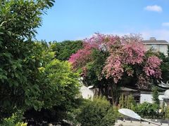 -乌山风景区