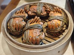 -杨氏青龙虾·羊蝎子(珠江路店)