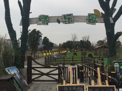 -田园东方蜜桃村的田野营地