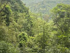 -广州市帽峰山景区