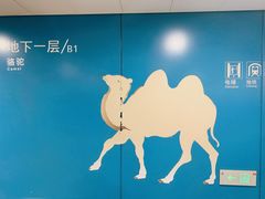 -虹桥综合交通枢纽-P6停车库