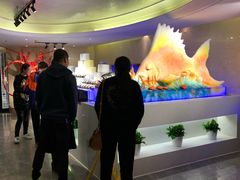 -小天鹅戴斯酒店鲸鲨百汇创作料理