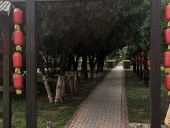 -洛阳周公庙博物馆