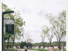 -东郊湿地公园