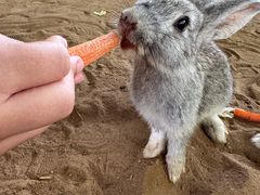-秦皇岛野生动物园