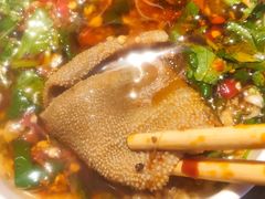 -小龙坎火锅(春熙太古里店)