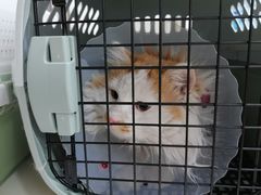 -宠颐生中康贝怡动物医院