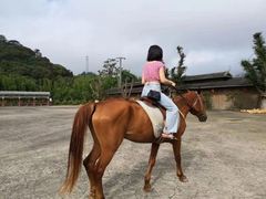 -韶关经律论国际酒店温泉