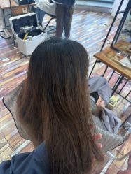-IDOL-PLUS