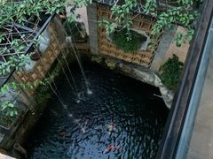 大堂-阿多私房菜(顺德店)