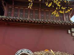 -长春观