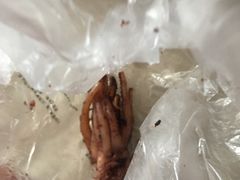 -水一方现烤鱿鱼丝大连特产(华南亿合城店)