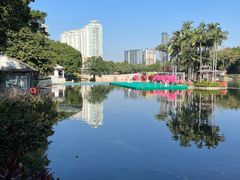 -荔湾湖公园