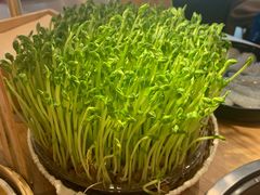 鲜豆苗-好彩猪肚鸡(正弘城店)