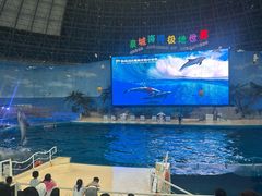 -泉城欧乐堡海洋极地世界