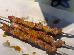 -撒拉花儿·新疆菜·清真(太阳宫店)
