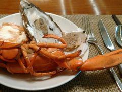 -天津君隆威斯汀酒店