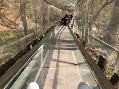 -丹东天桥沟景区