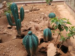 -石家庄市动物园