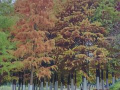 -滨湖塘西河公园