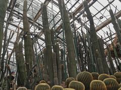 -南山植物园