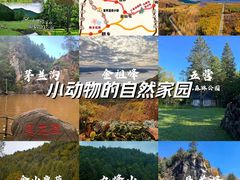 -汤旺河林海奇石景区