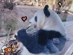 -青藏高原野生动物园