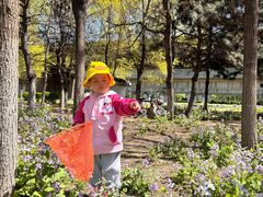 -长白岛森林公园