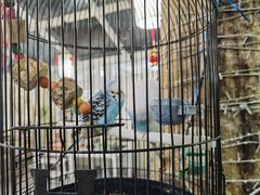 -丽江庭院之丽江往事(安定门店)