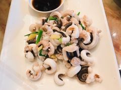-碧丽宫大酒店(召稼楼店)