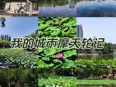 -青城公园