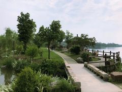 -鹅湖玫瑰文化园