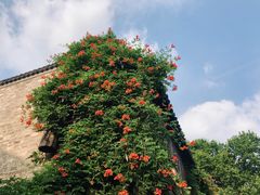 -竹里馆·淮扬菜·功夫茶(老门东店)