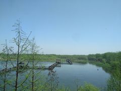 -溱湖国家湿地公园