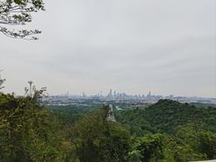 -火炉山森林公园