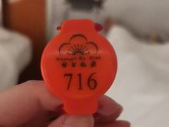 -世外桃源水疗会(皇庭彩园店)