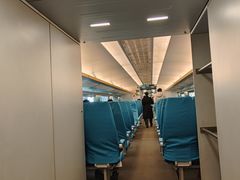 -龙阳路磁悬浮列车总站-停车场