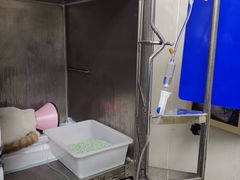 -康成宠物医院24H·CT·核磁共振