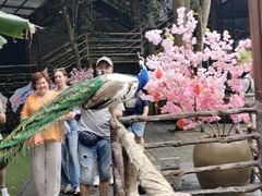 -海南槟榔谷黎苗文化旅游区