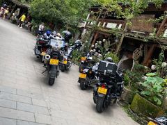 -青城甲(青城山店)