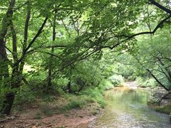 -丹东天桥沟景区