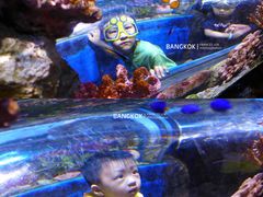 -暹罗海洋世界