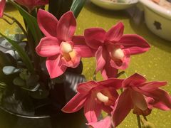-上海人家花樣年华(中山公园店)