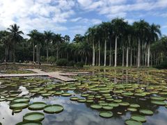-中国科学院西双版纳热带植物园