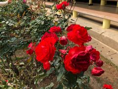 -人民公园(罗湖区)