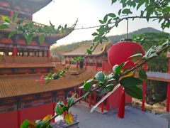 -东莞市大岭山森林公园
